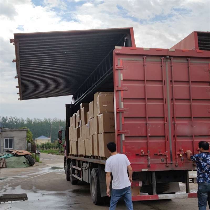 荔浦市扎囊县：物流专线的高效货运之旅